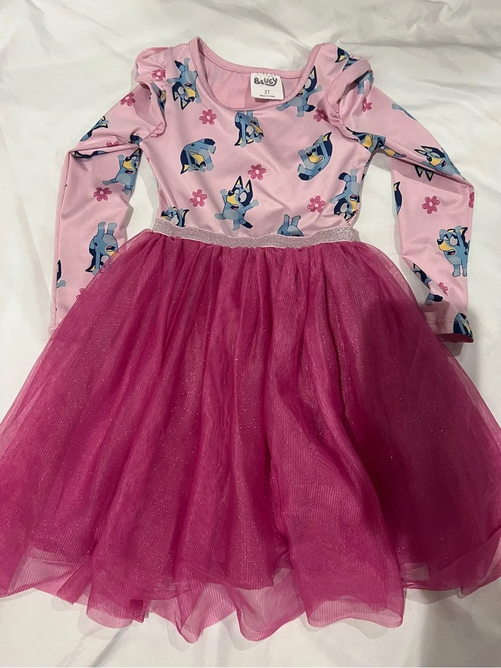 Bluey Pink Character Tulle Dress for Kids